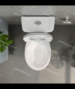 Bàn cầu hai khối VT18M