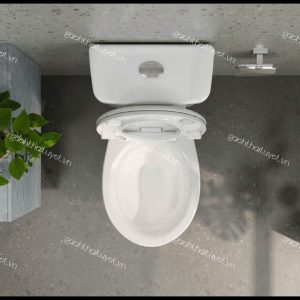 Bàn cầu hai khối VT18M