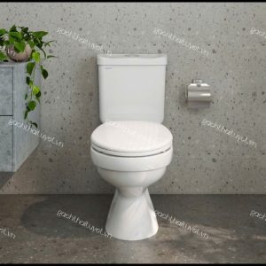 Bàn cầu hai khối VT18M