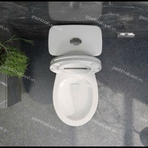 Bàn cầu hai khối VT34