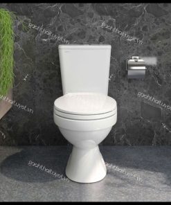 Bàn cầu hai khối VT34