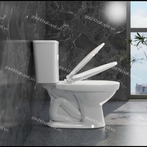 Bàn cầu hai khối VT34