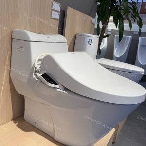 Bàn cầu một khối ACTIVA INAX mã VF-2010