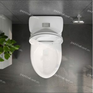 Bàn cầu một khối BL5