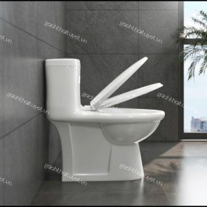 Bàn cầu một khối BL5