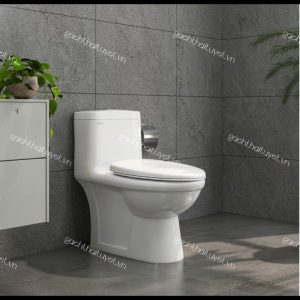 Bàn cầu một khối BL5