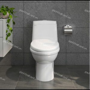 Bàn cầu một khối BL5