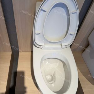 Bàn cầu một khối FLEXIO INAX mã VF-2530