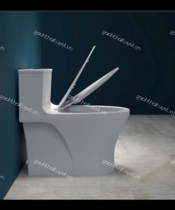Bàn cầu một khối HL2