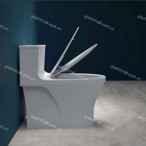 Bàn cầu một khối HL2