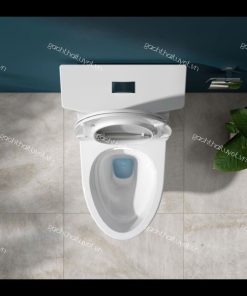Bàn cầu một khối HL2