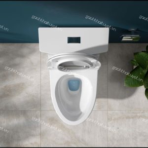 Bàn cầu một khối HL2