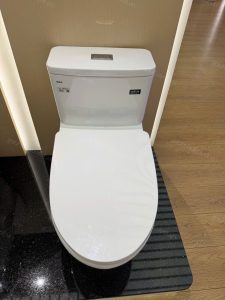 Bàn cầu một khối INAX mã AC-969VN-2