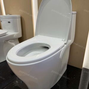 Bàn cầu một khối INAX mã AC-989VN