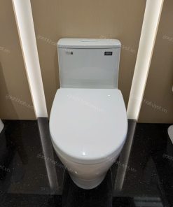 Bàn cầu một khối INAX mã AC-989VN