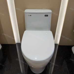Bàn cầu một khối INAX mã AC-989VN