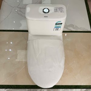 Bàn cầu một khối Kolni mã A2119