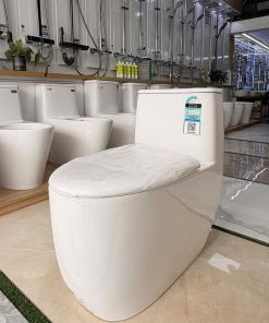 Bàn cầu một khối Kolni mã A2119