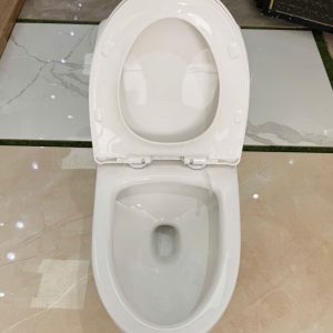 Bàn cầu một khối Kolni mã A2119