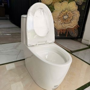 Bàn cầu một khối Kolni mã A306