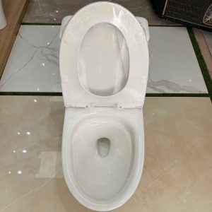 Bàn cầu một khối Kolni mã A306