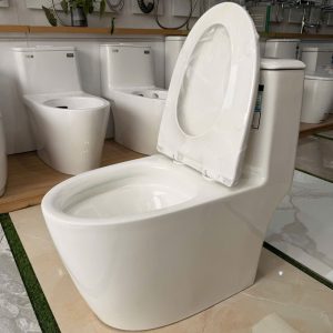 Bàn cầu một khối Kolni mã A306