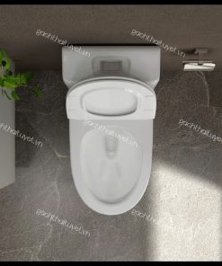 Bàn cầu một khối S301