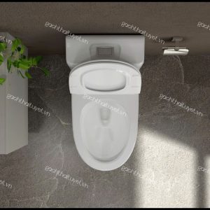 Bàn cầu một khối S301