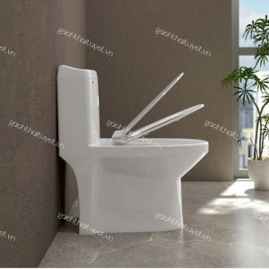 Bàn cầu một khối S301
