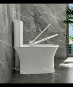 Bàn cầu một khối S302