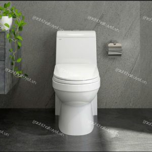 Bàn cầu một khối S304