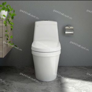 Bàn cầu một khối S308