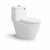 Bàn cầu một khối S308