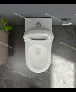 Bàn cầu một khối S308