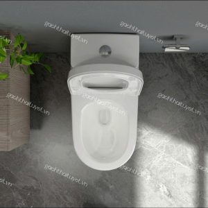 Bàn cầu một khối S308