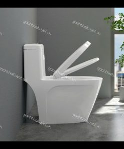 Bàn cầu một khối S308
