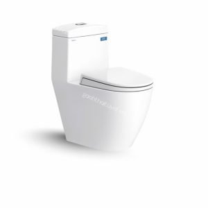 Bàn cầu một khối V199
