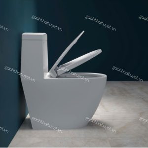Bàn cầu một khối V199