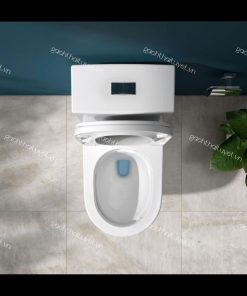 Bàn cầu một khối V199