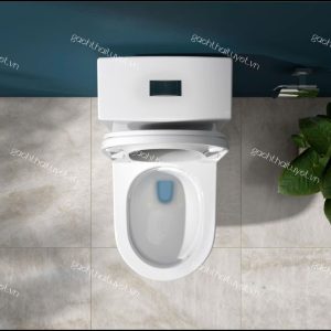 Bàn cầu một khối V199