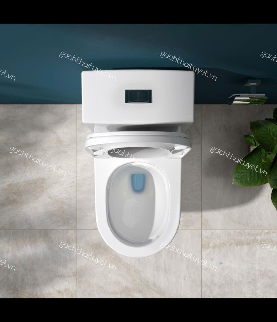 Bàn cầu một khối V199