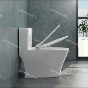 Bàn cầu một khối V36