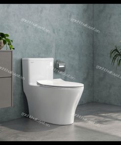 Bàn cầu một khối V36