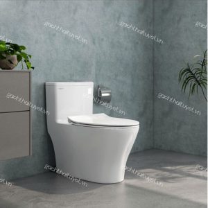 Bàn cầu một khối V36