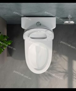 Bàn cầu một khối V36