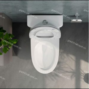 Bàn cầu một khối V36