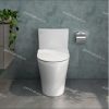 Bàn cầu một khối V36
