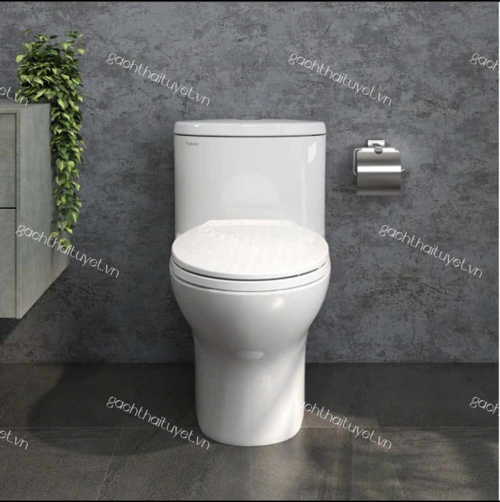 Bàn cầu một khối V37M