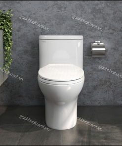 Bàn cầu một khối V37M