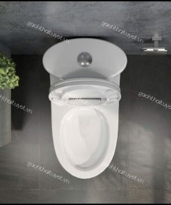 Bàn cầu một khối V37M